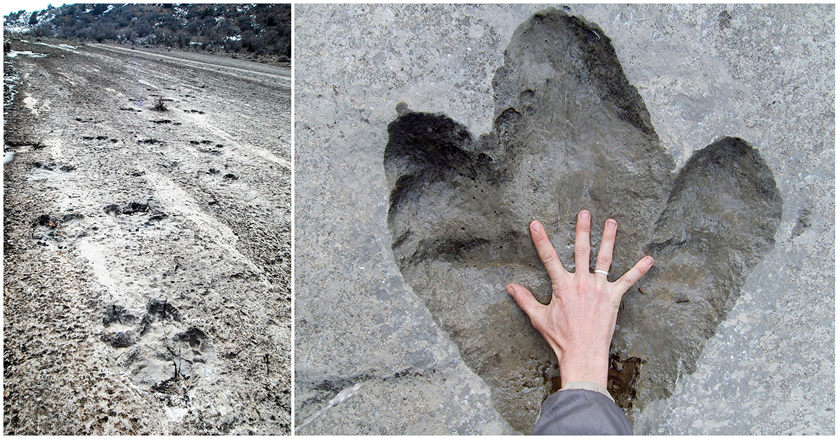 4-day Koytendag Tour: Dinosaur Plateau and Turkmenistan’s Far East
