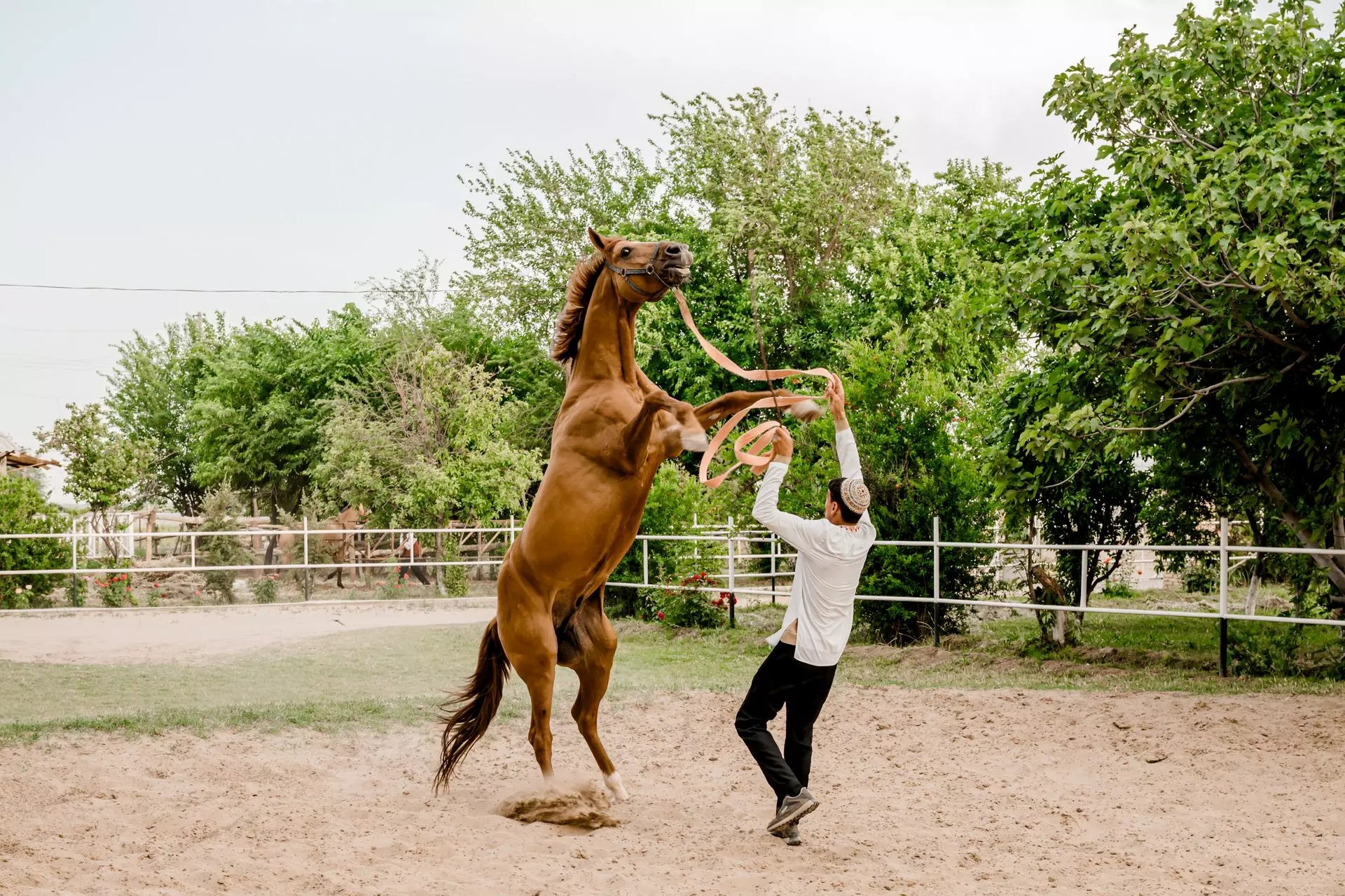 Geok Tepe horse riding tour